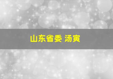 山东省委 汤寅